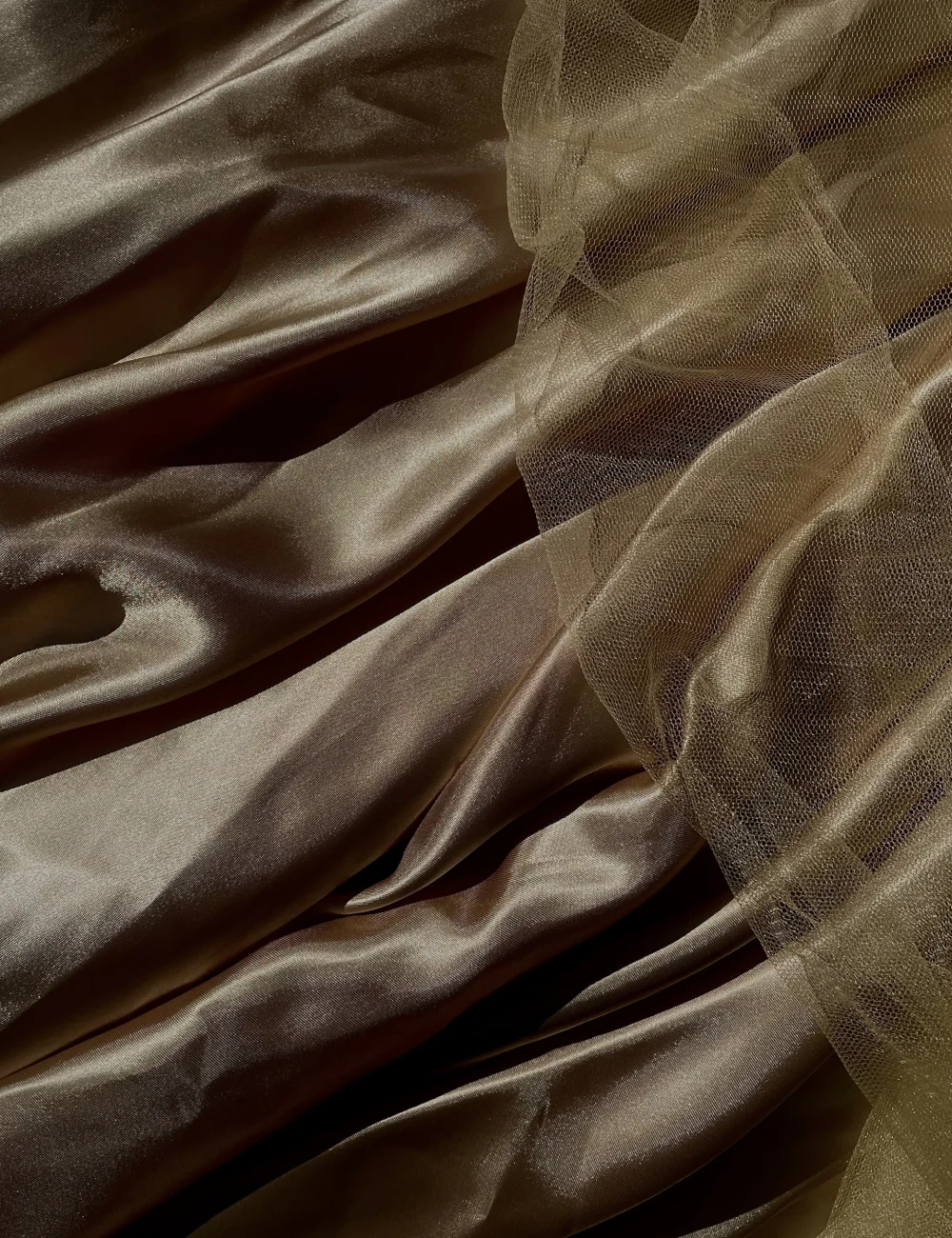 Skin, seen as a responsive organ.