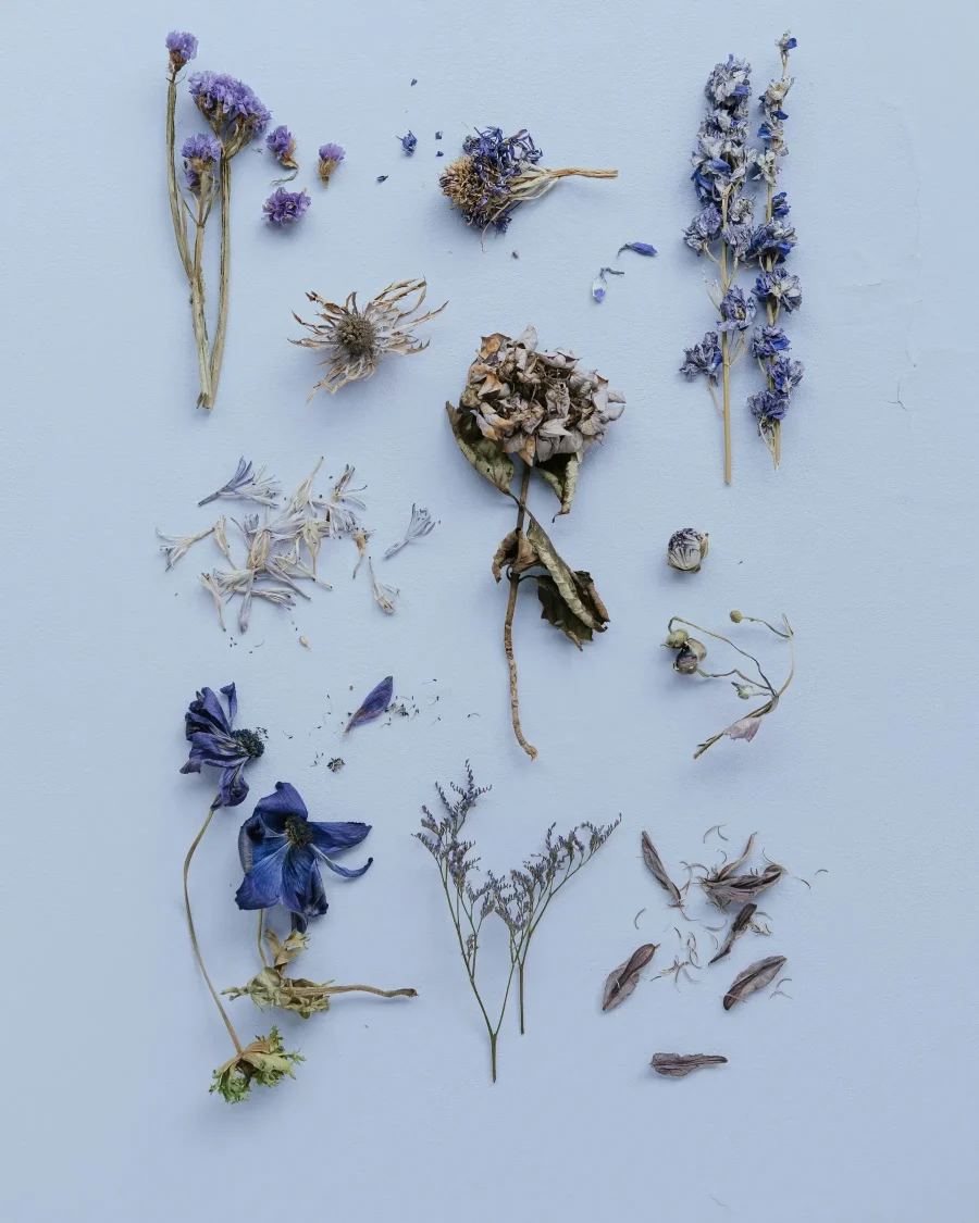 Ingredient Philosophy