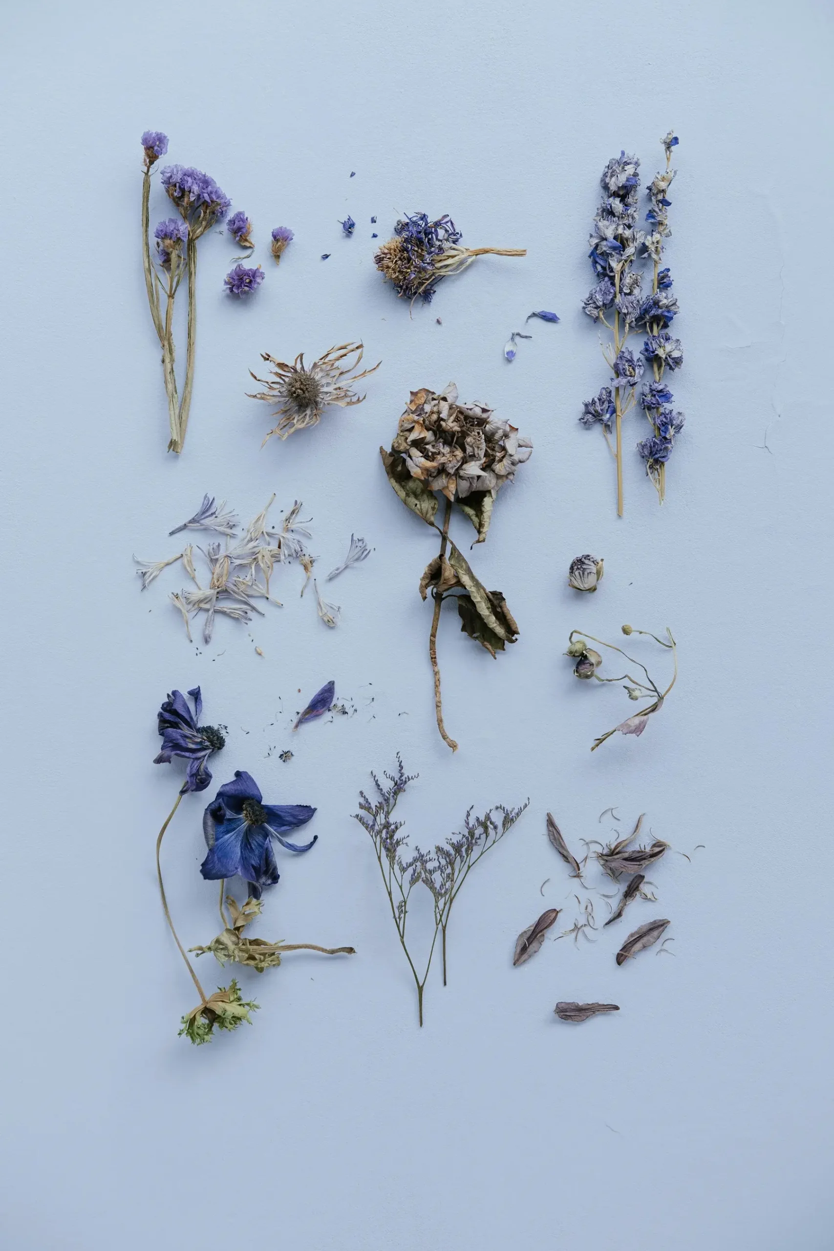 Notes on skin and the world around it.
